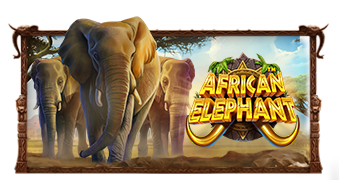 African Elephant™ Slot - Büyük Kazançlar İçin Oyna